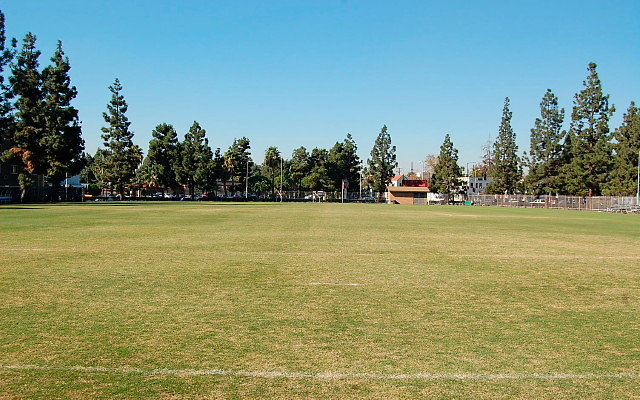 DSC 0051