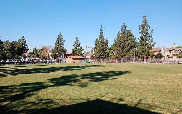 DSC 0056