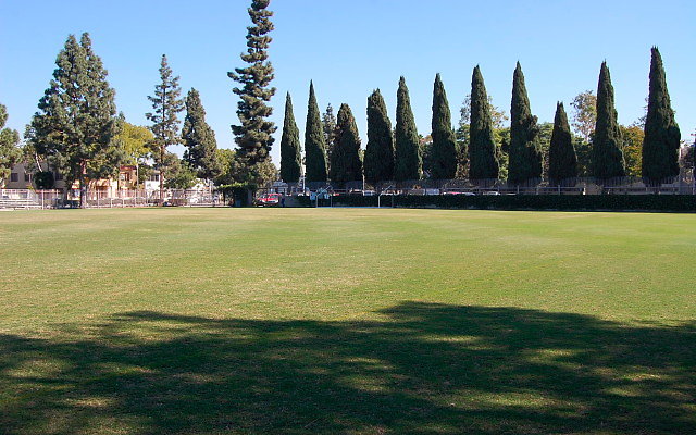 DSC 0058