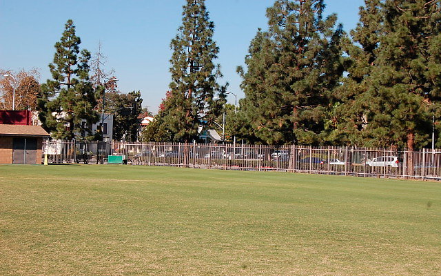 DSC 0086