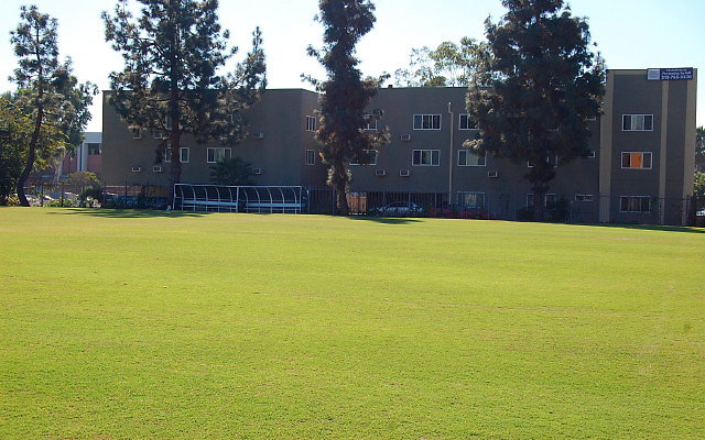 DSC 0097