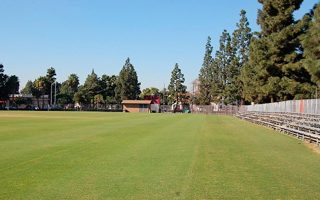 DSC 0106