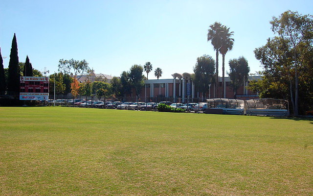 DSC 0071
