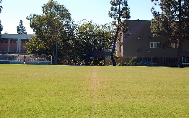 DSC 0102