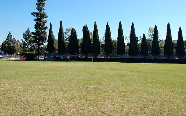 DSC 0070