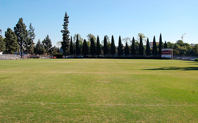 DSC 0089