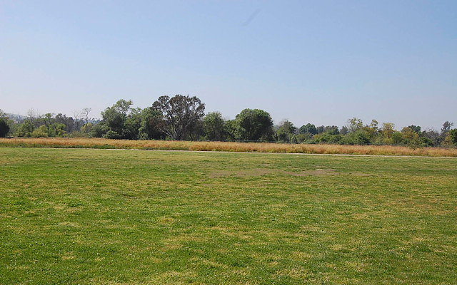 DSC 0143