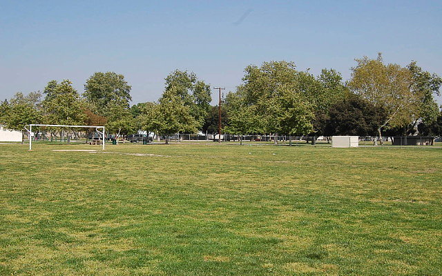 Field 9