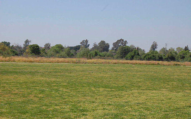 DSC 0141