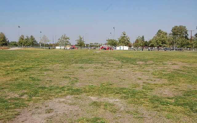 DSC 0150
