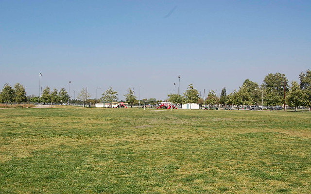 DSC 0136
