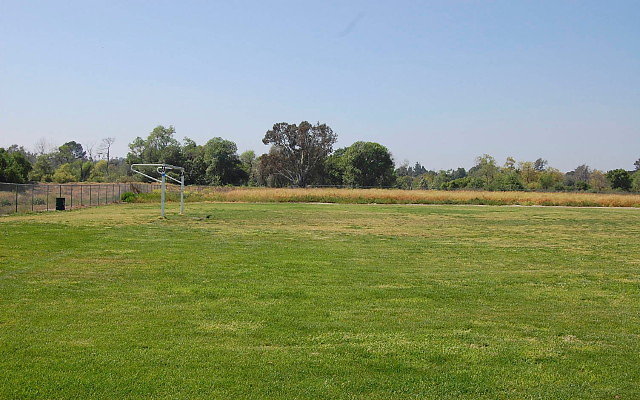 DSC 0145