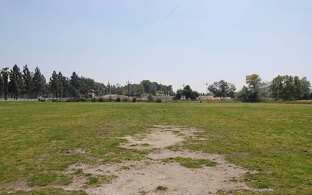 DSC 0122