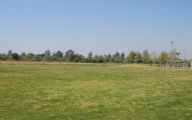 DSC 0144