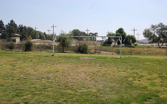 DSC 0149