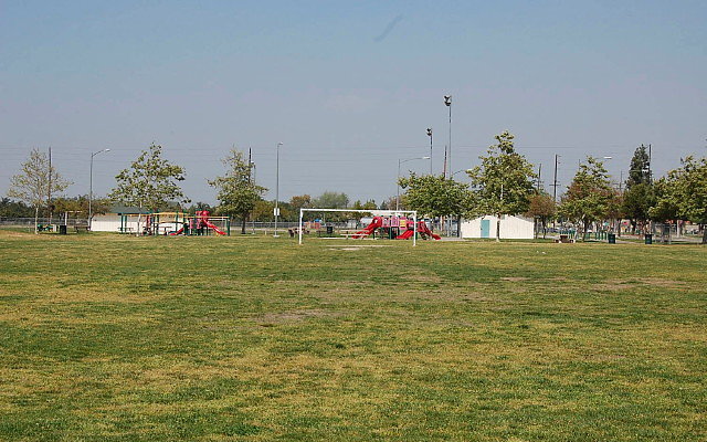 DSC 0133