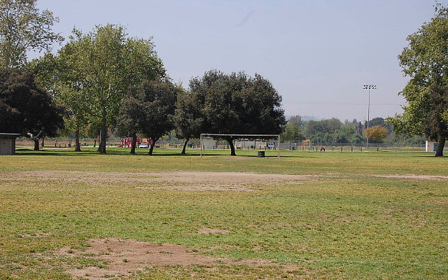 DSC 0095