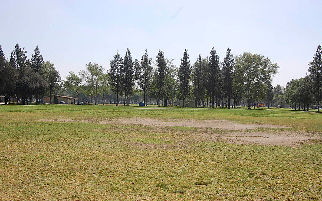 DSC 0108