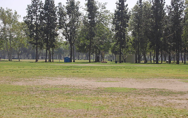 DSC 0105