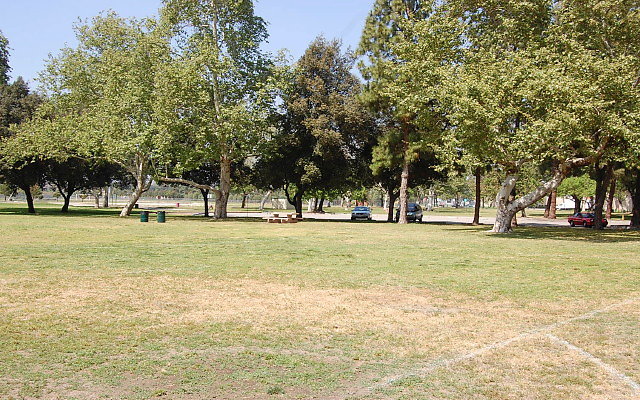 DSC 0116