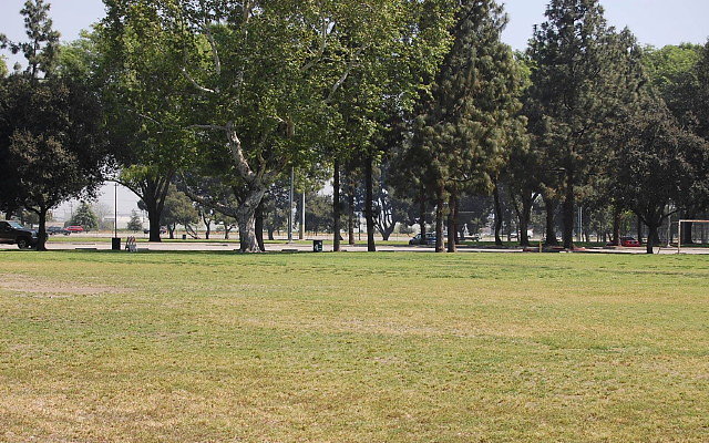 DSC 0113