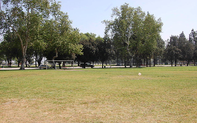 DSC 0107