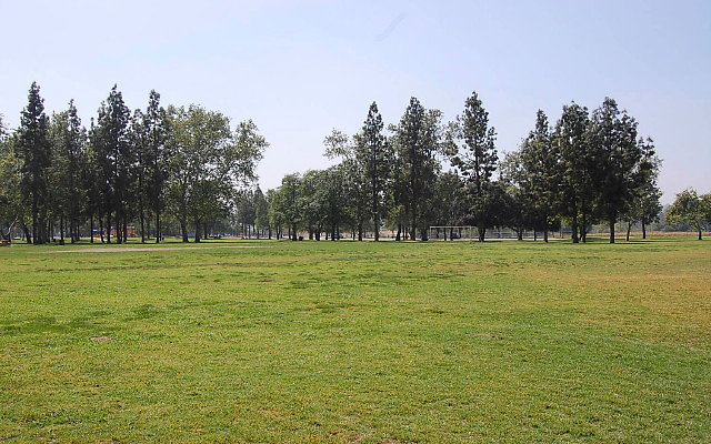 Field 1
