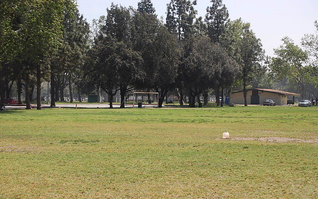 DSC 0104
