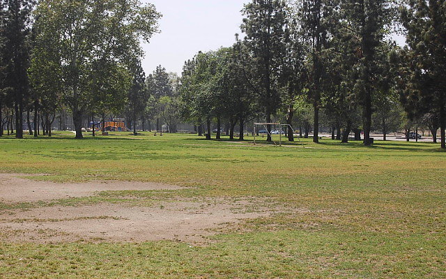 DSC 0106