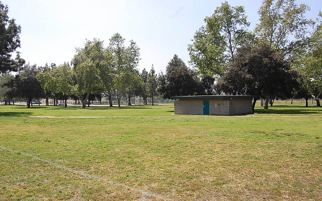 DSC 0114