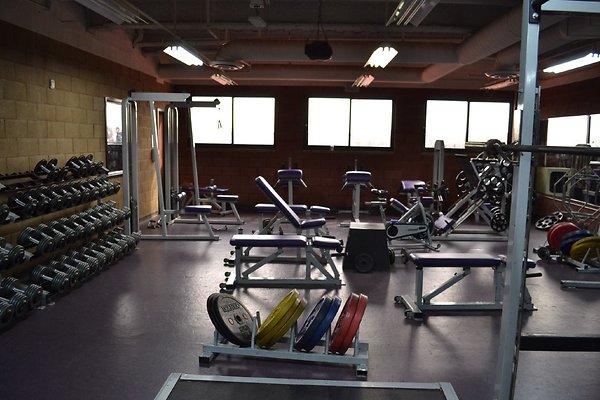 Cath Weights08