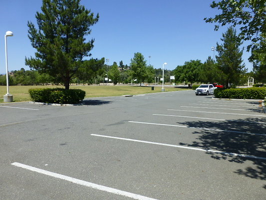 P1080950