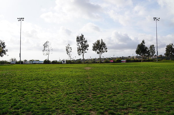 DSC08181