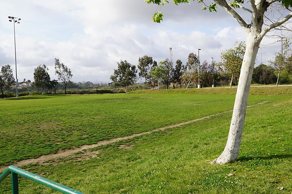 DSC08188