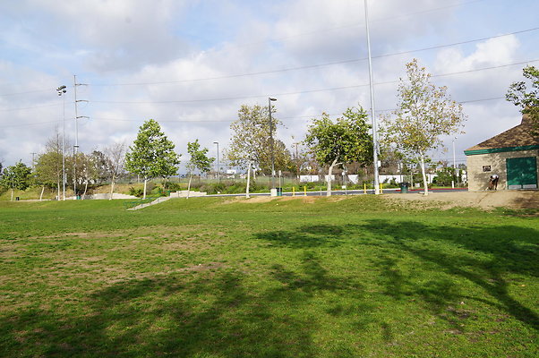 DSC08167