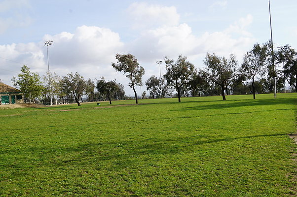 DSC08173