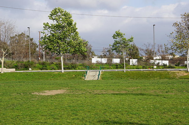 DSC08175