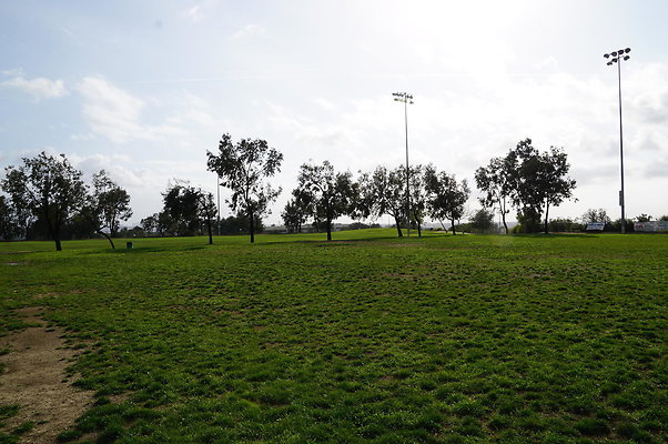DSC08180