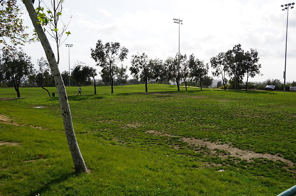 DSC08186