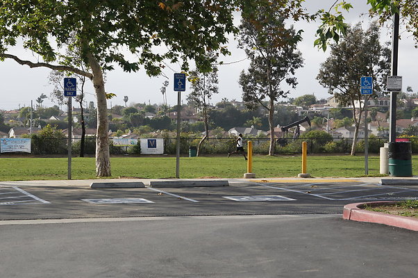 DSC08195