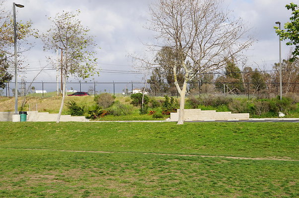 DSC08177