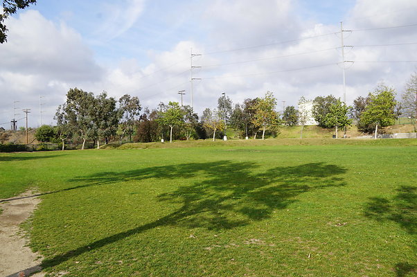 DSC08171