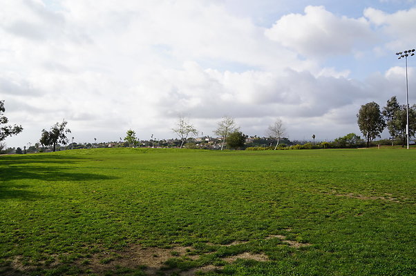 DSC08202