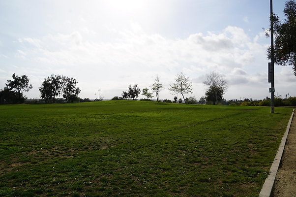 DSC08163