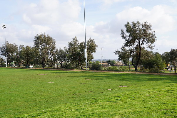 DSC08157
