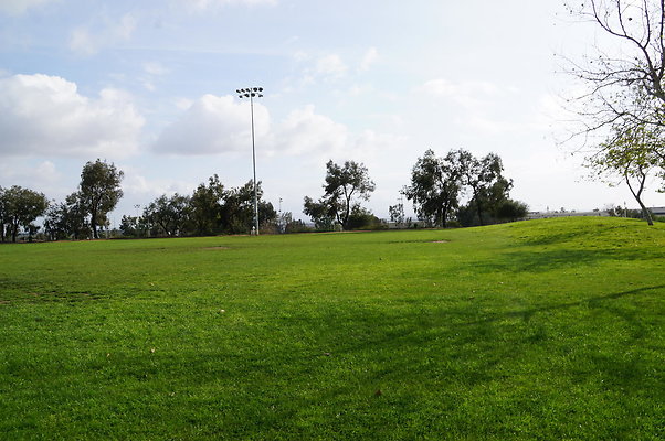 DSC08160