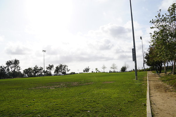 DSC08200