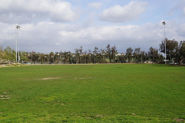 DSC08156
