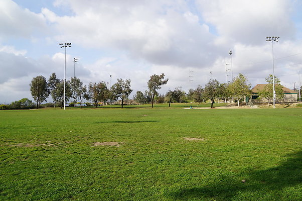 DSC08203