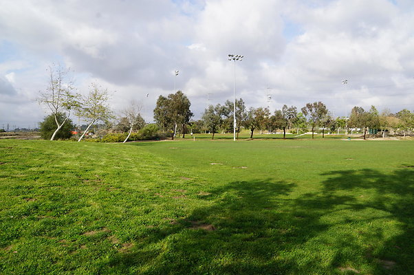 DSC08205